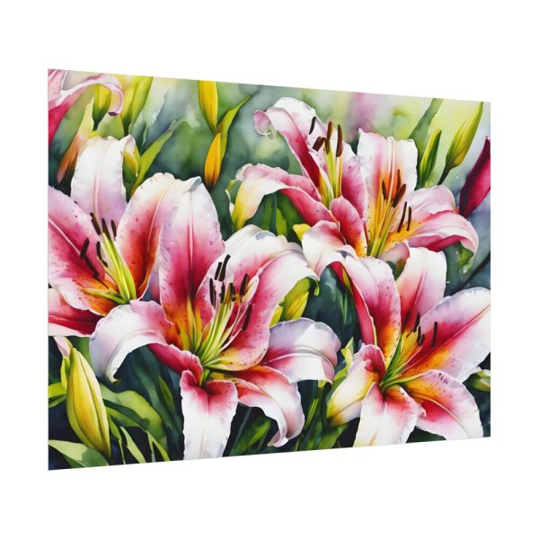 17751899394093952270_2048.jpeg Lily Flower Blossom Art Poster