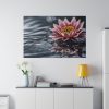Water Lily Flower Blossom Water Standard Canvas