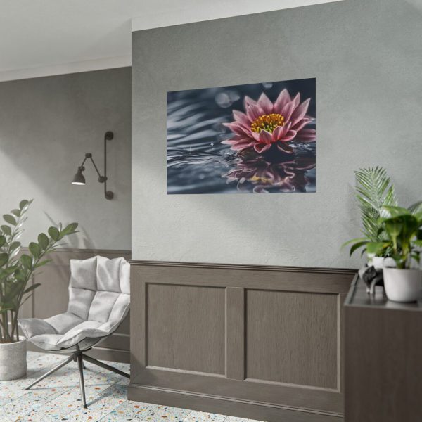 18343402092734856329_2048.jpeg Water Lily Flower Blossom Water Poster