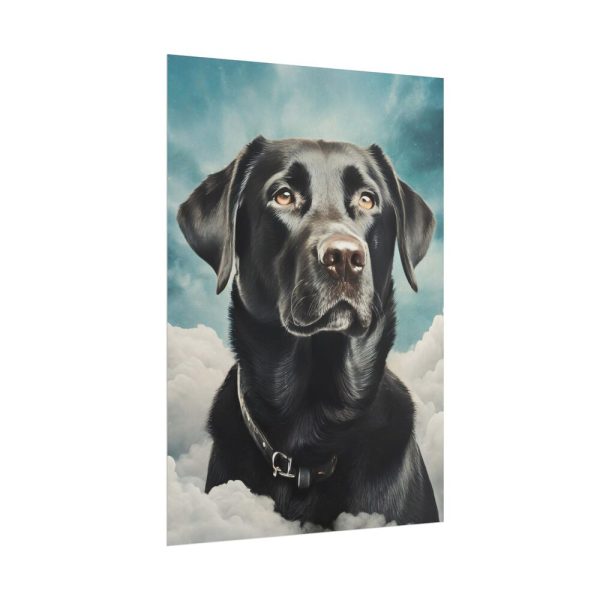 Dog Sympathy Poster