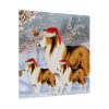 2214927573657956656_2048.jpeg Winter Collie Dog And Puppy Standard Canvas