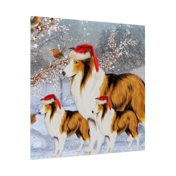 2214927573657956656_2048.jpeg Winter Collie Dog And Puppy Standard Canvas