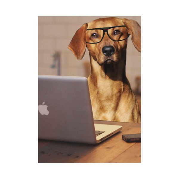 2845650418425026413_2048.jpeg Dog Using Laptop Computer Poster