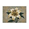 2981128587831675655_2048.jpeg Vintage Flower Lily Poster