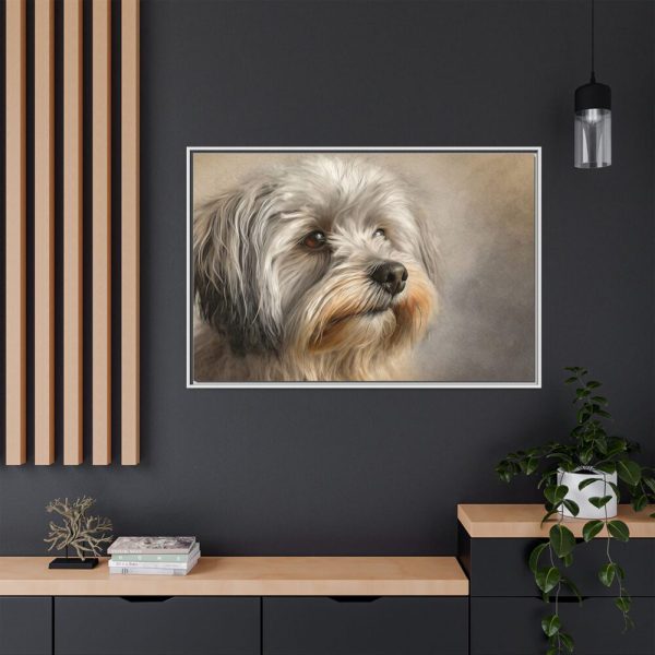 3056441658427360773_2048.jpeg Havanese Dog Framed Canvas