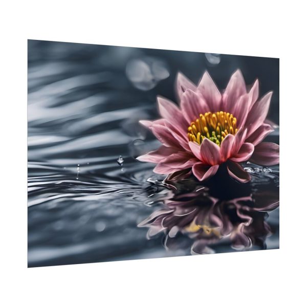 3340589793668996741_2048.jpeg Water Lily Flower Blossom Water Poster