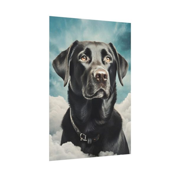 Dog Sympathy Poster