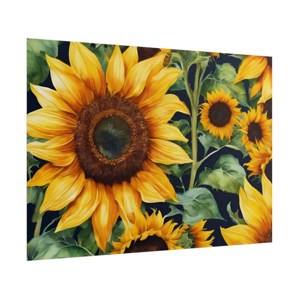 Sunflower Wildflower Blossom Poster