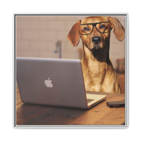 Dog Using Laptop Computer Framed Canvas