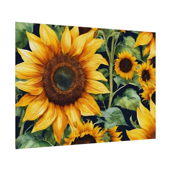 Sunflower Wildflower Blossom Poster
