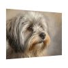 3992739922868092021_2048.jpeg Havanese Dog Poster