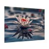 Water Lily Flower Blossom Pond Poster
