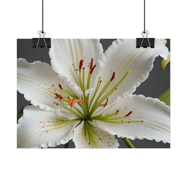 4036916461047672041_2048.jpeg White Lily Flower Poster