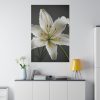 407846836568328016_2048.jpeg White Lily Flower Standard Canvas