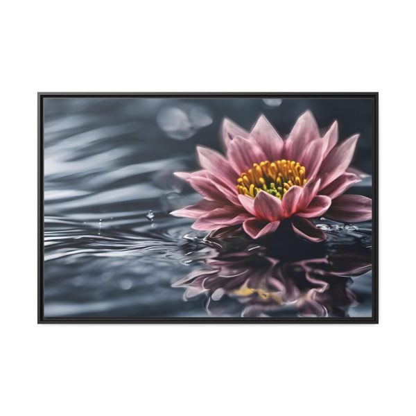 Water Lily Flower Blossom Water Framed Canvas