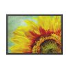 474526305399691926_2048.jpeg Sunflower Vintage Art Framed Poster