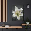 4755712905355379371_2048.jpeg White Lily Flower Framed Canvas