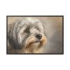 4875425319356765998_2048.jpeg Havanese Dog Framed Canvas