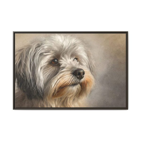 4875425319356765998_2048.jpeg Havanese Dog Framed Canvas