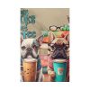 Dogs, Books And Coffee Standard Canvas