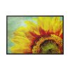 5161159015169844545_2048.jpeg Sunflower Vintage Art Framed Canvas