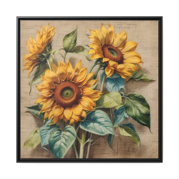 Vintage Sunflower Art Print Framed Canvas