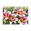 5538127330209950430_2048.jpeg Lily Flower Blossom Art Poster