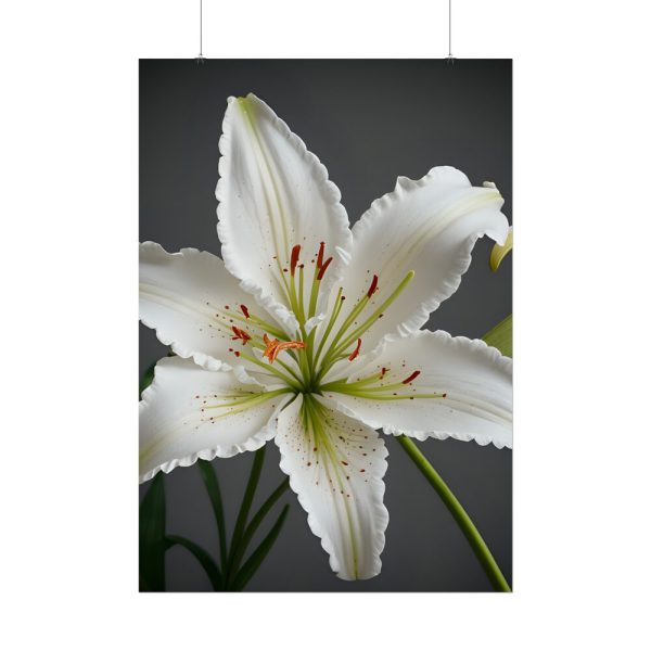 5571180219977530064_2048.jpeg White Lily Flower Poster