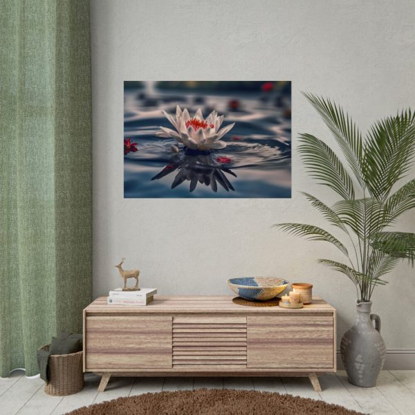 Water Lily Flower Blossom Pond Poster