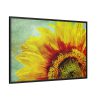 5687733727687712724_2048.jpeg Sunflower Vintage Art Framed Canvas