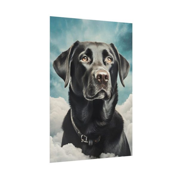 Dog Sympathy Poster