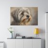 6123779059099476777_2048.jpeg Havanese Dog Standard Canvas