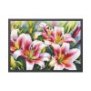 6229407691516955523_2048-1.jpeg Lily Flower Blossom Art Framed Poster