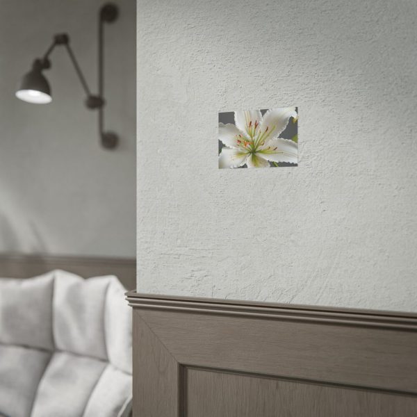 6328055549189392051_2048.jpeg White Lily Flower Poster