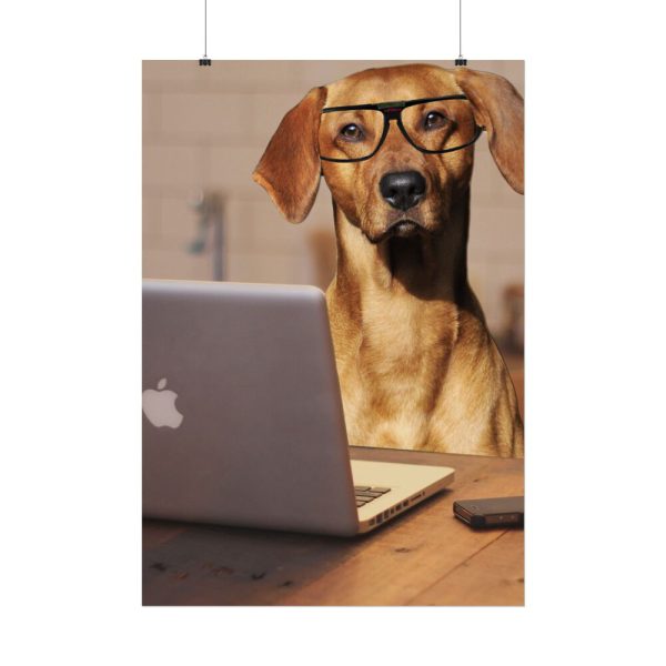 6594817249429784571_2048.jpeg Dog Using Laptop Computer Poster