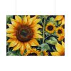 Sunflower Wildflower Blossom Poster