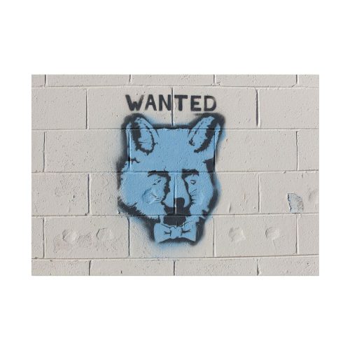 6702265368242995872_2048.jpeg Graffiti Fox Poster
