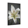 6788283625111037925_2048.jpeg White Lily Flower Framed Canvas