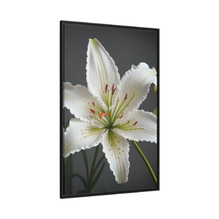 White Lily Flower Framed Canvas