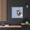 6794152231565165667_2048.jpeg Pug Dog Framed Canvas