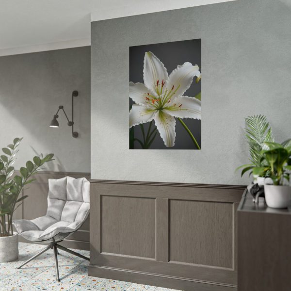 7008215136479854807_2048.jpeg White Lily Flower Poster