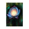 Magic Lily Flower Poster