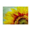 Sunflower Vintage Art Poster