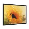 7708883611626654208_2048-1.jpeg Sunflower Watercolor And Splatter Framed Poster