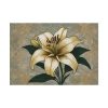 7785666892915648790_2048.jpeg Vintage Flower Lily Poster