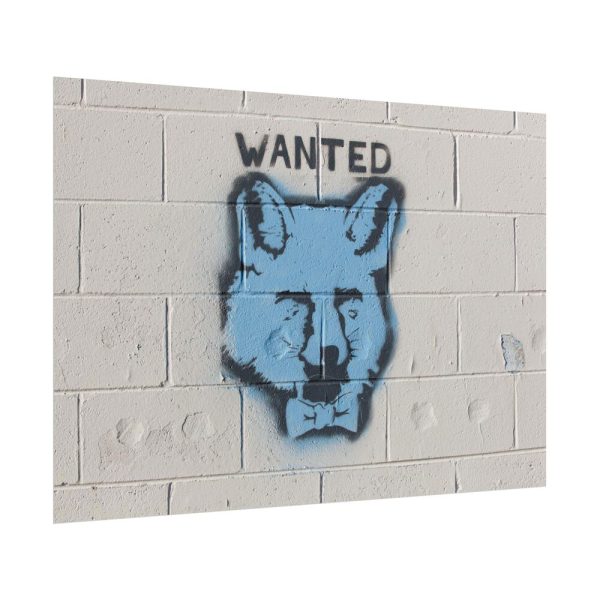 7962427675014867834_2048.jpeg Graffiti Fox Poster