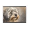 7966319647398239479_2048.jpeg Havanese Dog Framed Canvas