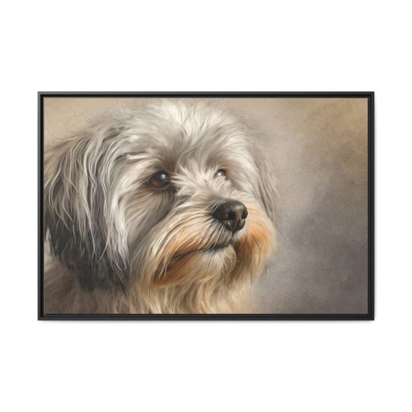 7966319647398239479_2048.jpeg Havanese Dog Framed Canvas