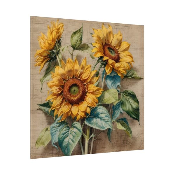 7973961398040836190_2048.jpeg Vintage Sunflower Art Print Standard Canvas