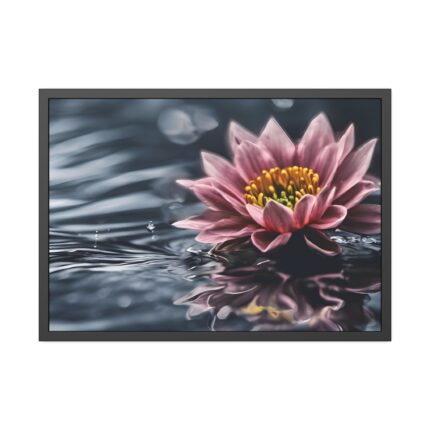 Water Lily Flower Blossom Water Framed Poster